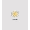 SLAMP Clizia Wall Lamp