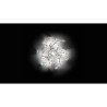 SLAMP Hanami Ceiling lamp / Wall Lamp