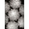 SLAMP Veli 7 Pendant Lamp