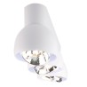 PSM Lighting Olivia 1813 Ceiling Lamp