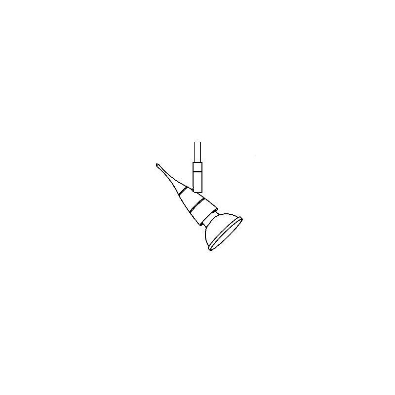 PSM Lighting Colibri 8010 Ceiling Lamp / Wall Lamp