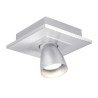 PSM Lighting Zoomclick 616.Ar70.45  Ceiling Lamp
