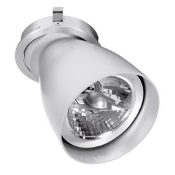 PSM Lighting Ø80 Convertible System Caspolka.Ar70Gu10 Recessed Spot