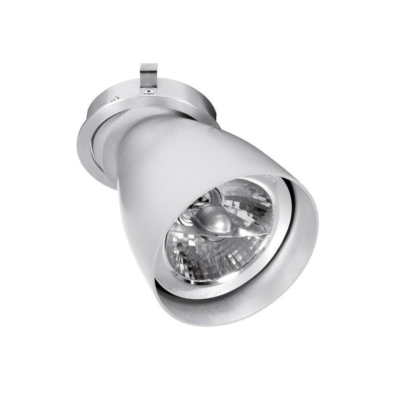 PSM Lighting Ø80 Convertible System Caspolka.Ar70Gu10 Recessed Spot