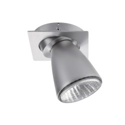 PSM Lighting Square Click System Casvolta.Es50 Ceiling Lamp