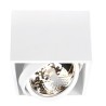 PSM Lighting Spinner X 1891 Ceiling Lamp