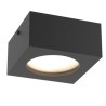 PSM Lighting Toledo 3062W Ceiling Lamp / Wall Lamp