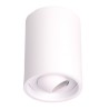 PSM Lighting Cameleon 1511.Zxo Ceiling Lamp