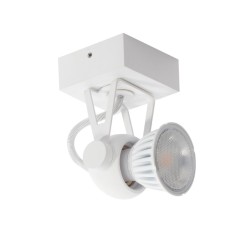 PSM Lighting Ringo 3230 Ceiling Lamp