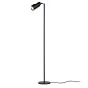 PSM Lighting Alfrood 1349 Floor Lamp