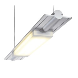 PSM Lighting Butterfly 2807Led Suspension Lamp