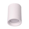 PSM Lighting Cameleon 1524.Xtm Ceiling Lamp