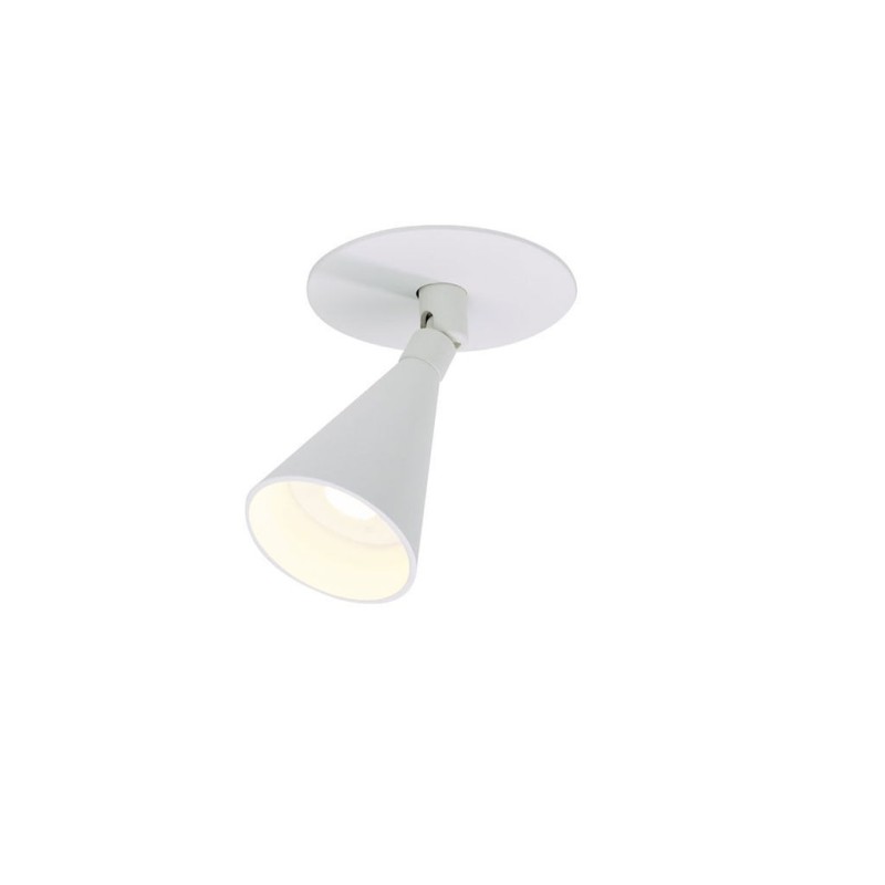 Trizo21 Aust-In Adjustable Concrete Ceiling recessed spot