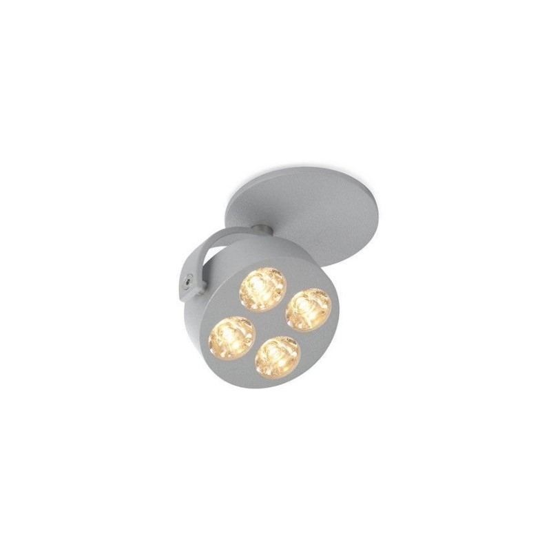 Trizo21 Mini-Pi 1C in ceiling lamp