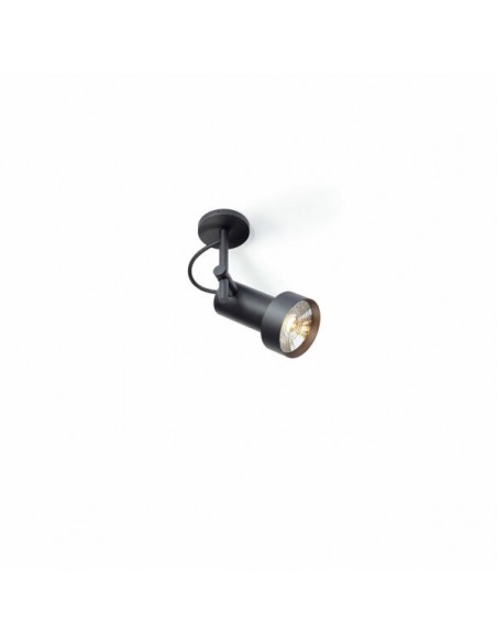 Trizo21 2Thirty-C1 in ceiling lamp