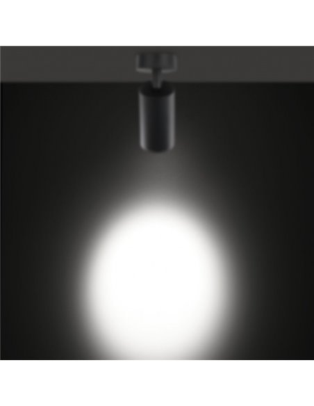 Delta Light SPY FOCUS ON LP Ceiling lamp