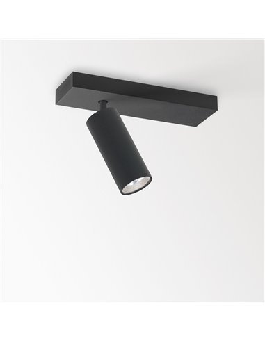 Delta Light SPY 39 ON 1 Ceiling lamp