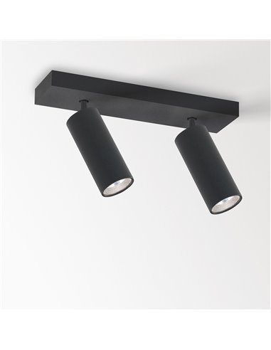 Delta Light SPY 39 ON 2 Ceiling lamp