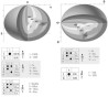 Integratech Disc Ceiling light sensor+emergency