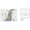 Integratech LED streetlight Urban type 1 Pollerleuchte