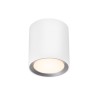 Nordlux Landon Long 12 Smart [IP44] ceiling lamp