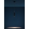 Catellani & Smith Lucenera 504