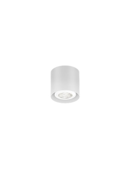 Wever & Ducré RAY MINI 1.0 PAR16 Ceiling lamp