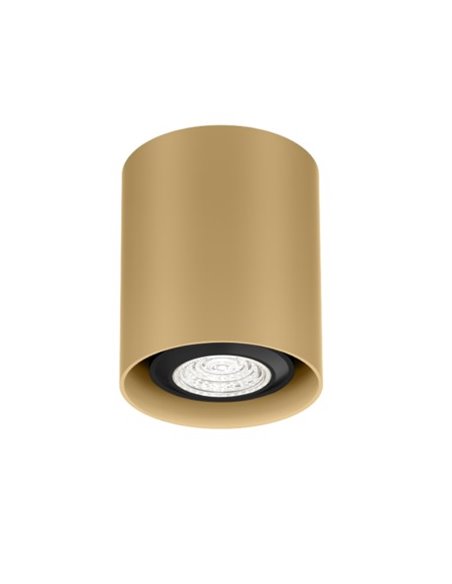 Wever & Ducré RAY MINI 1.0 PAR16 Deckenlampe