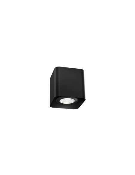 Wever & Ducré DOCUS MINI 1.0 PAR16 Ceiling lamp