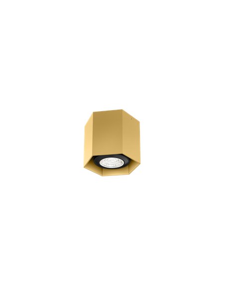 Wever & Ducré HEXO MINI 1.0 PAR16 Ceiling lamp