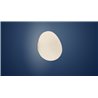 Foscarini Gregg Piccola Wall/Ceiling Ceiling Lamp / Wall Lamp
