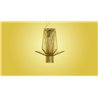 Foscarini Allegretto Assai Susp. 10M Suspension Lamp