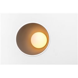 Modular Shellby skin