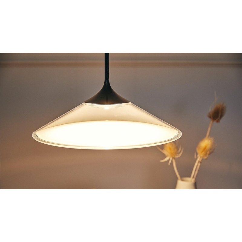 Artemide Orsa 35 suspended lamp