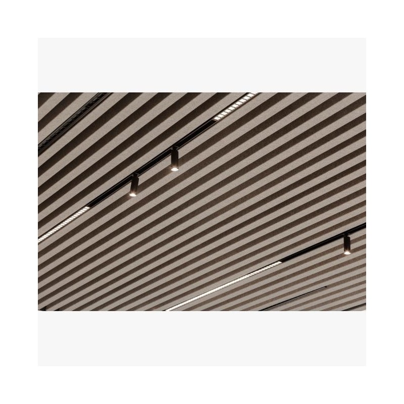 Delta Light M - Inform L11 MDL Ceiling lamp