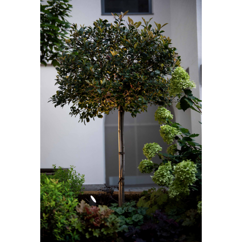 Wever & Ducré Stipo 3.0 Bodenlampe