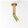 Delta Light NEEDLE 1 OK Ceiling lamp