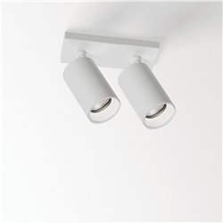 Delta Light SPYCO ON 2 AC Ceiling lamp