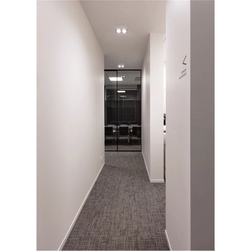 Delta Light Minigrid On 250 DIM8 Ceiling lamp