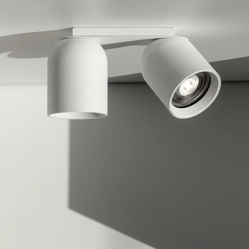 Delta Light OBIN ON 2 DIM8 Ceiling lamp
