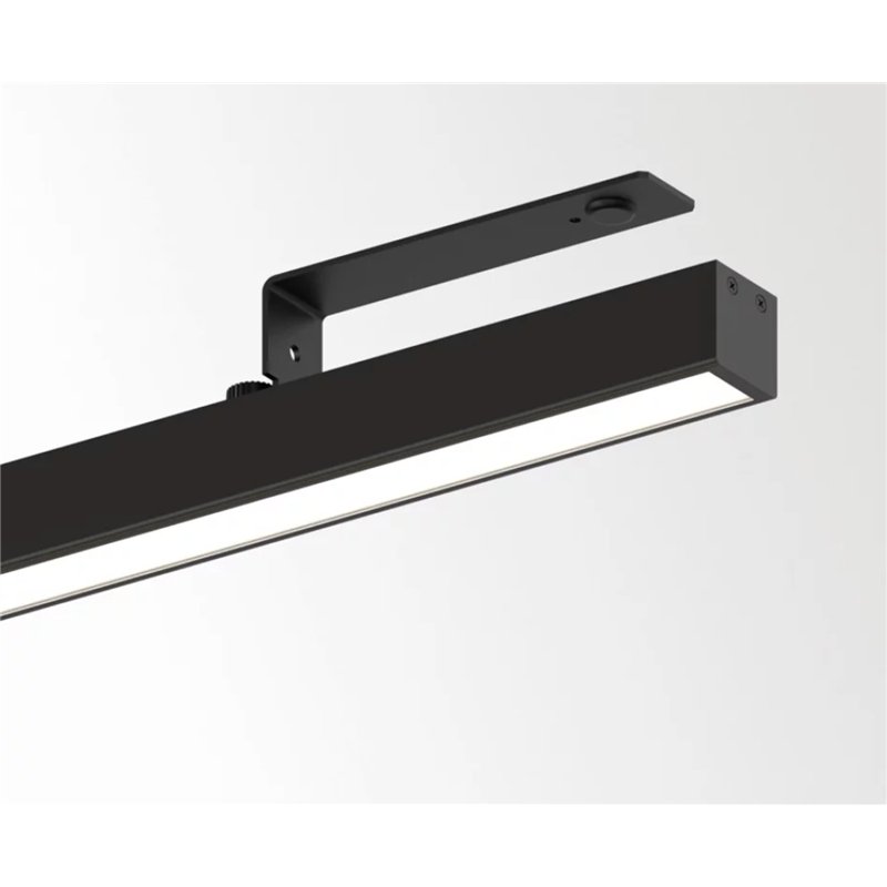 Delta Light D-LINER 30 SBL LOC1 1390 DIM5 Ceiling lamp