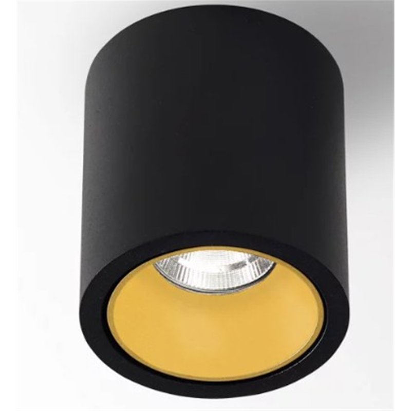 Delta Light R HE Ceiling lamp