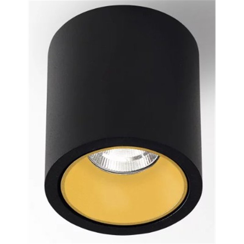 Delta Light R HE Ceiling lamp