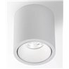 Delta Light R HE Deckenlampe