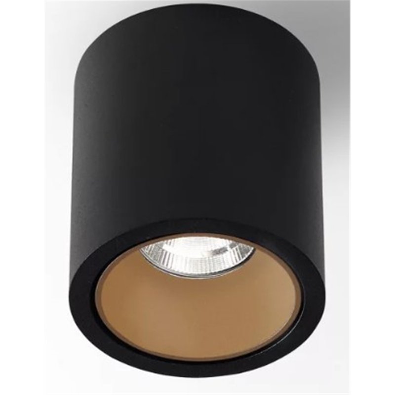 Delta Light R HE Ceiling lamp
