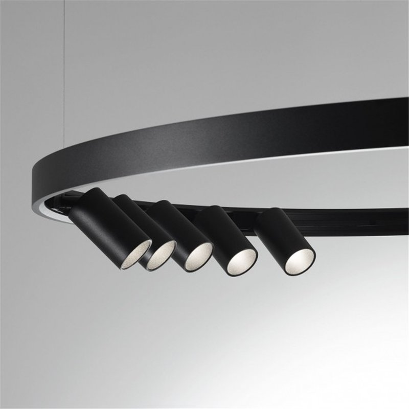 Delta Light SUPERLOOP HC 170 MDL Suspension lamp