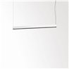 Delta Light CONFORM P14 DOWN-UP DIM4 Suspension lamp