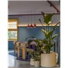 Delta Light Cuppa C suspension lamp