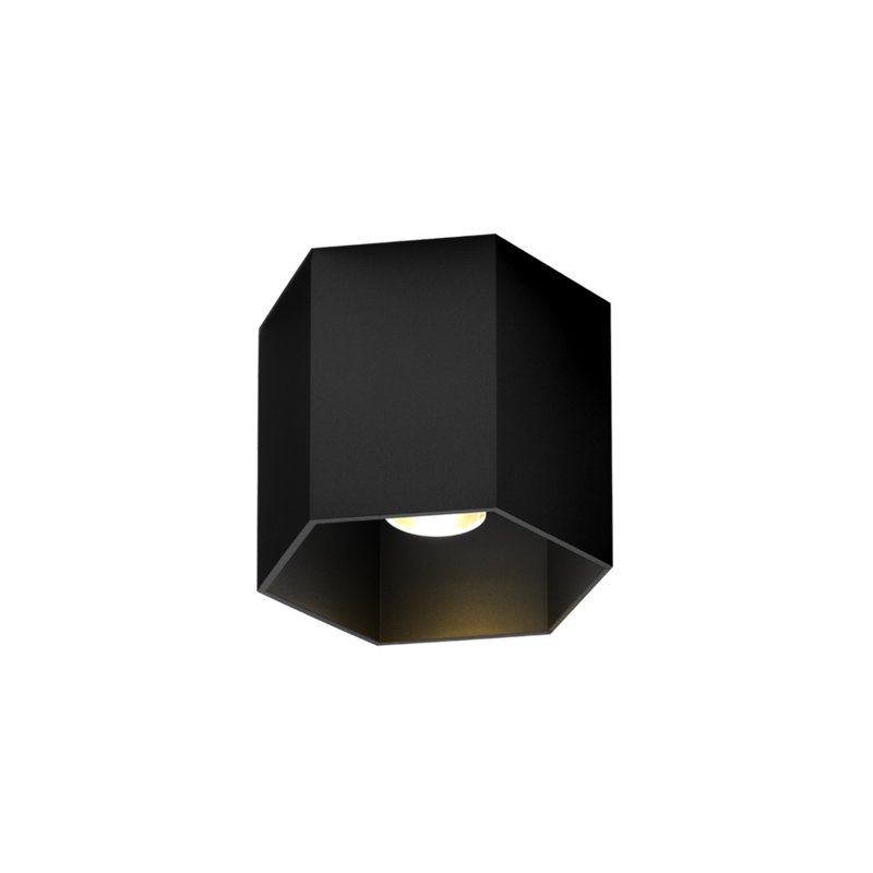 Wever & Ducré Hexo 1.0 PAR16 Ceiling lamp