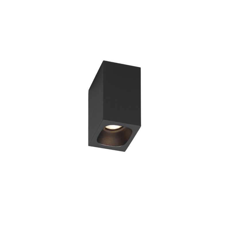 Wever & Ducré Pirro Spot Surface 1.0 Ceiling lamp